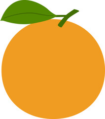 Flat style orange fruit vector isolated