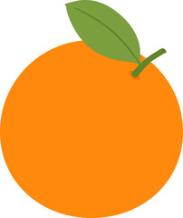 Flat style orange fruit vector isolated