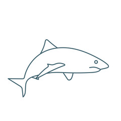 Conceptual line drawing of Tiger Shark
