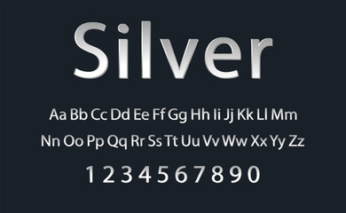 Decorative silver alphabet vector fonts and numbers. Typography design for headline, label, poster, logo, cover. Vector EPS 10