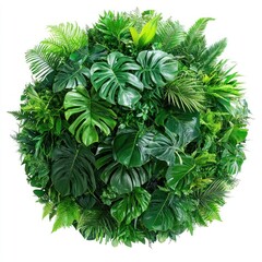 Lush tropical foliage sphere