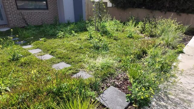 A neglected and messy front yard of a suburban house, with overgrown weeds and an unkempt lawn in an Australian residential neighborhood.