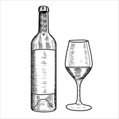 Hand drawn bottle of wine, glass. Vector illustration