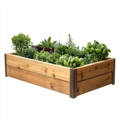 Wooden raised bed filled with various vegetables and herbs planter gardening elevated.