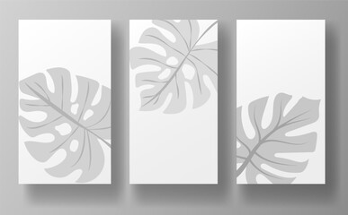 Three minimalist posters featuring gray monstera leaf designs on a white background with a subtle gray backdrop. Perfect for social media posts, stories, or business presentations. Vector illustration