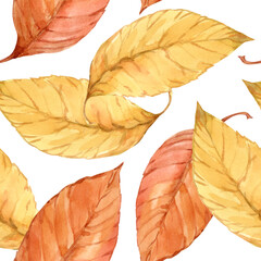 Seamless texture. Autumn leaves painted with watercolors on an isolated background. Leaf fall 2024, yellow, red leaves for printing on fabric, paper, wallpaper, packaging.