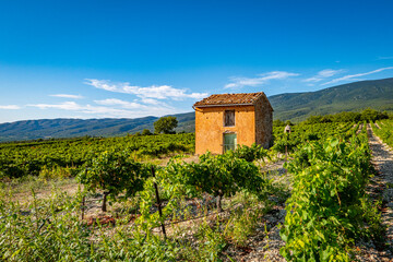 Villes-sur-Auzon, Vaucluse, France. Rural house among vineyards in Mont-Ventoux Natural Park
