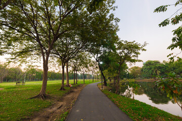 Sunset in city public park tree forest running pathway garden nature landscape