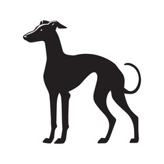 Obraz premium Italian Greyhound dog silhouette Design, Dog Clipart vector illustration in black and white 