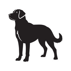 Fototapeta premium Labrador Retriever dog silhouette Design, Dog Clipart vector illustration in black and white 