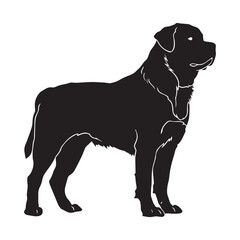Fototapeta premium Rottweiler dog Standing silhouette Design, Dog Clipart illustration in black and white