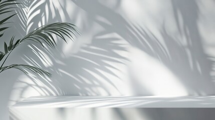 Blank minimal white counter podium, soft beautiful dappled sunlight, tropical palm foliage leaf shadow on wall for luxury hygiene organic cosmetic, skincare, beauty treatment product. 