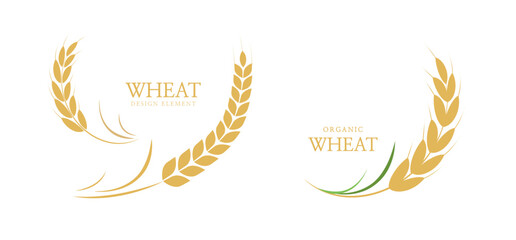 Wheat ears or rice icon. paddy wheat. laurel wreath icon. Vector illustration