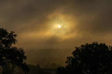 Mystical foggy dawn over Évora, bathed in golden light. The ancient city's silhouette emerges softly in the distance, creating a serene, ethereal landscape.