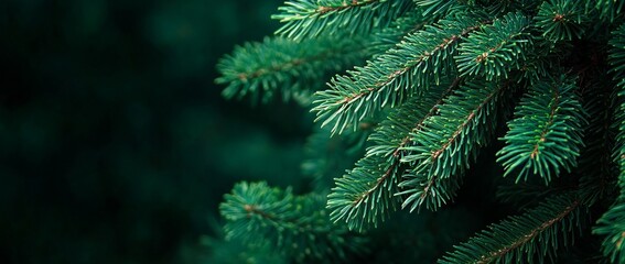 Close-up Macro of Green Spruce Tree Branches with Detailed Texture - AI generated illustration