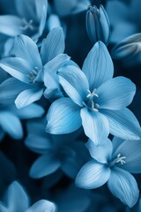 Obraz premium Delicate blue flowers in close-up under soft lighting, emphasizing the intricate beauty and tranquility of nature.