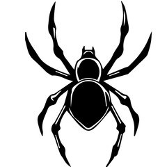 Spider web black with transparent background