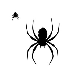 Spider web black with transparent background