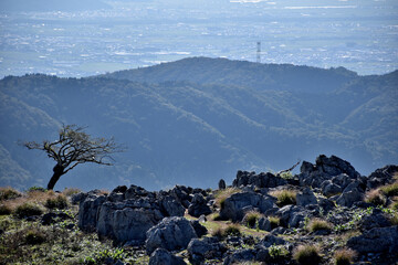 カルスト地形の霊仙山、石灰岩がゴロゴロ