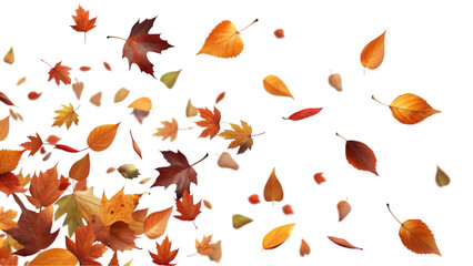 Obraz premium Autumn leaves movement isolated on transparent background