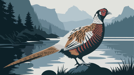 Pheasant bird vector illustration. Versicolor design element