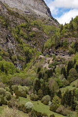 Lush Green Forest and Rocky Cliffs in a Mountainous Landscape