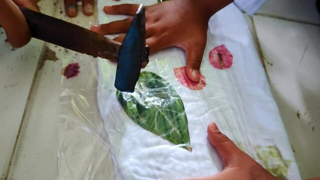 The process of making ecoprints using the Pounding technique. Attach the leaves to a white cloth and covered with clear plastic then hit them slowly with a hammer to attach the leaf dye to the fabric.