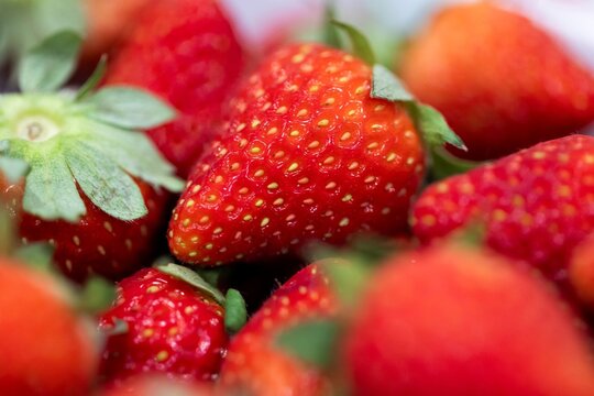 A closeup portrait of a bunch of red delicious and fresh strawberies with the green top in a white bowl. The tasty fruit is ready to be eaten.