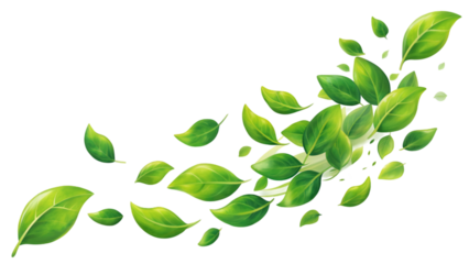 Green leaves movement falling flow isolated on transparent background