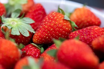 A closeup portrait of a bunch of red delicious fresh strawberies with the green top in a white bowl. The tasty fruit is ready to be eaten.