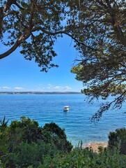 A beautiful view of the sparkling blue sea from an island near Zadar, Croatia, surrounded by trees and nature