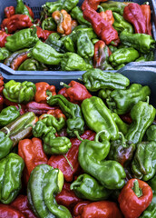 Green peppers in a market