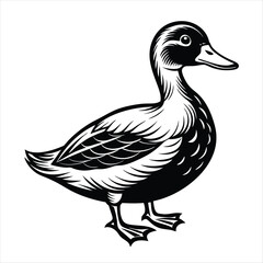 duck