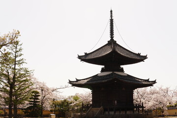 Obraz premium Arquitetura Japonesa