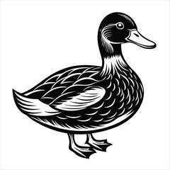 duck