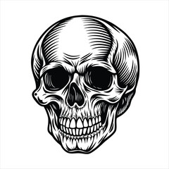 skull