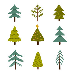 Set of different fir trees, Christmas tree. Hand drawn collection of trees. 