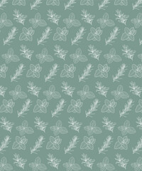 Set piante aromatiche. Cucina italiana mediterranea. Salvia, menta, basilico, salvia. Texture naturale.