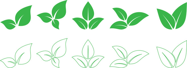 set of hand drawn green leaf. outline leaf vector illustration.