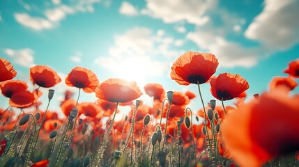 Obraz premium A vibrant field of red poppies gently swaying under a crisp blue sky, capturing the essence of springEach flower moves in harmony with the wind