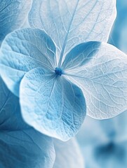 Elegant Flower Close-Up
