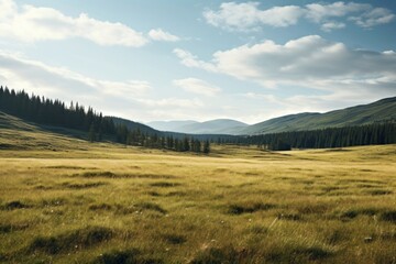 Meadow land landscape grassland.