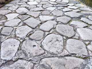 Detailed view of ancient cobblestone pathway lined with irregular stones in natural setting