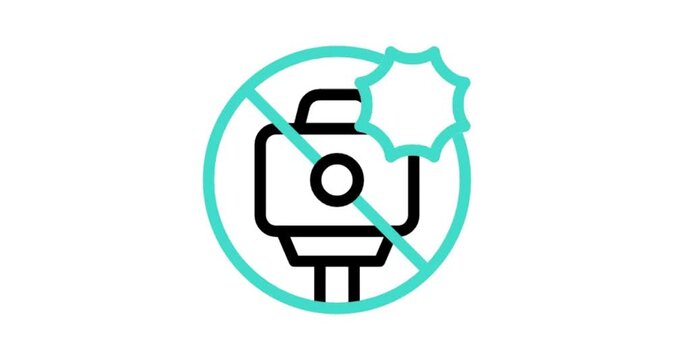 electric plug and socket