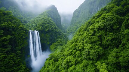 Fototapeta premium Lush Rainforest Oasis, a vibrant green landscape featuring cascading waterfalls, enveloped in a misty atmosphere, teeming with life and rich biodiversity.