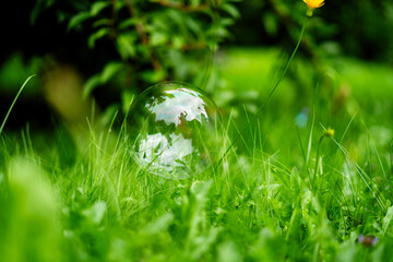 lato łąka © Michalina