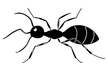 A ant silhouette vector icon on white background.