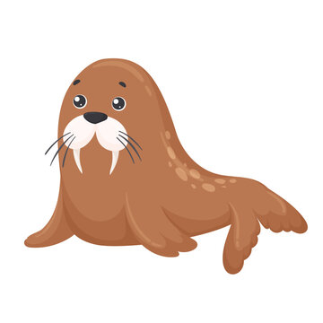 recommend clip art: Cute walrus vector drawing isolated on white background. Walrus in flat style. Vector illustration for decoration of cards, posters, textiles
