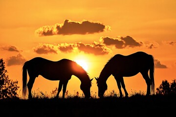 Two horses are grazing peacefully in a field as the sun sets behind them, creating a stunning silhouette against the warm evening sky