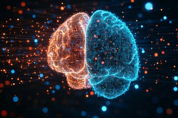 Mind and Machine, Digital Literacy